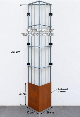 Klimplant draadrek CORNER
